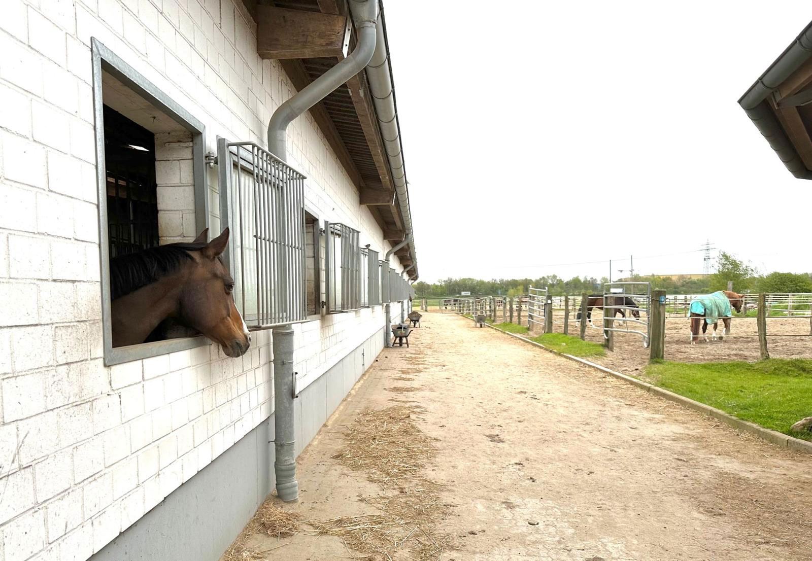 Reitanlage 4